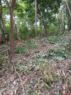 Land for Sale in Thalalla, Matara
