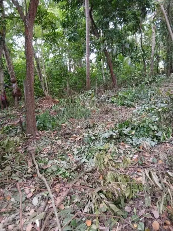 Land for Sale in Thalalla, Matara