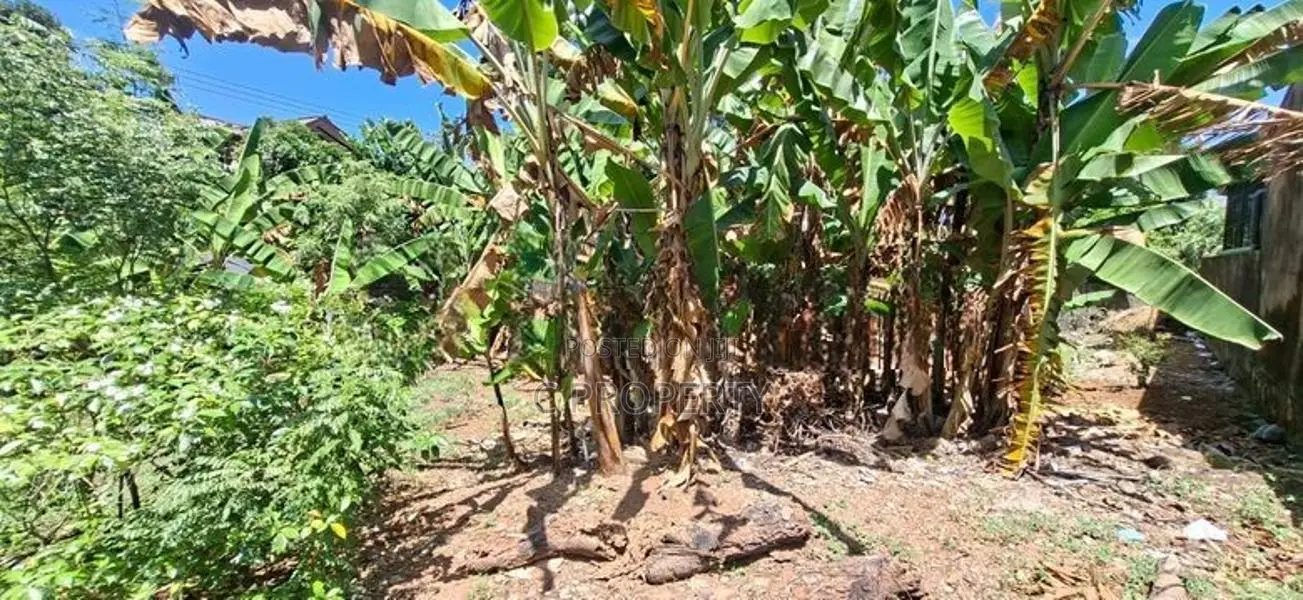 Land for sale Boralasgamuwa Abillawaththa