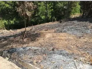 14-Perch Land for Sale – Angunawala Junction, Kandy
