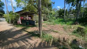 මීරිගම Town එකට පයින් යන දුරින් ඉඩමක් / SA 12038