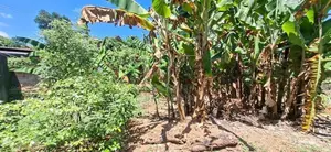 Land for sale Boralasgamuwa Abillawaththa