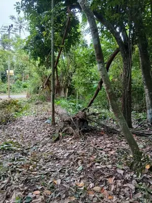 Land for Sale in Thalalla, Matara