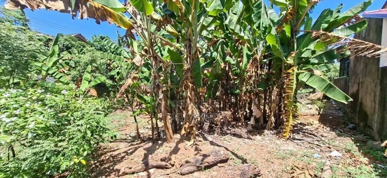 Land for sale Boralasgamuwa Abillawaththa
