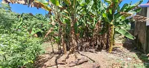 Land for sale Boralasgamuwa Abillawaththa