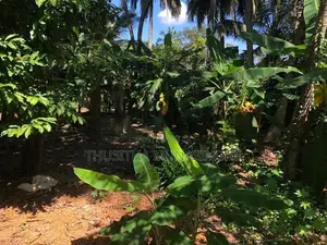 38 Perches Land For Sale In Kadawatha