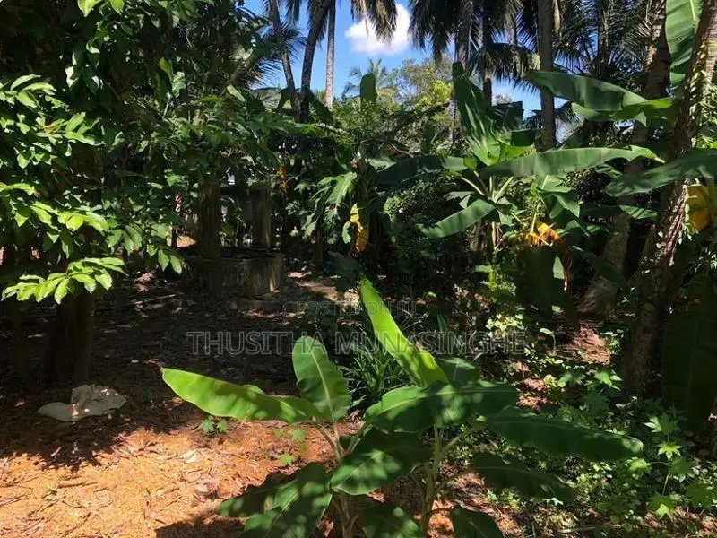 38 Perches Land For Sale In Kadawatha
