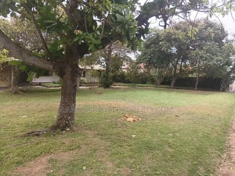 Moratuwa Lunawa Uyana Road Prime property on 202 Perches Land for Sale