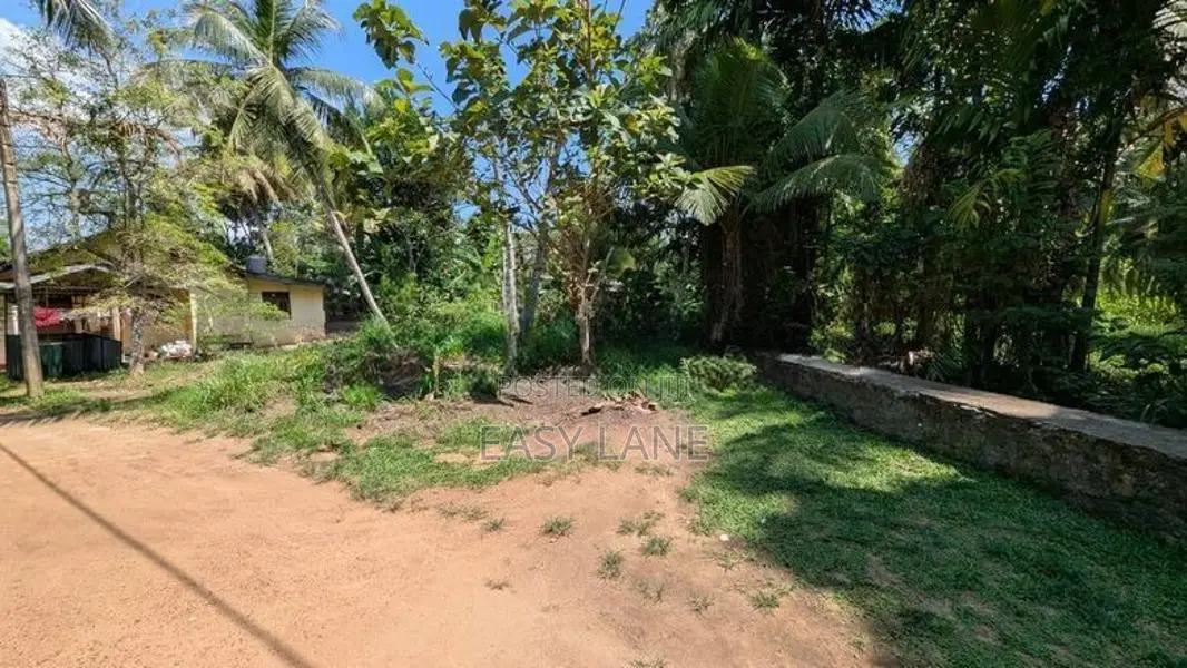 මීරිගම Town එකට පයින් යන දුරින් ඉඩමක් / SA 12038