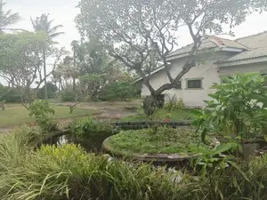 Moratuwa Lunawa Uyana Road Prime property on 202 Perches Land for Sale
