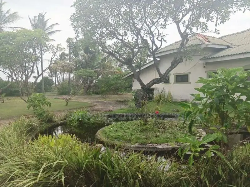 Moratuwa Lunawa Uyana Road Prime property on 202 Perches Land for Sale