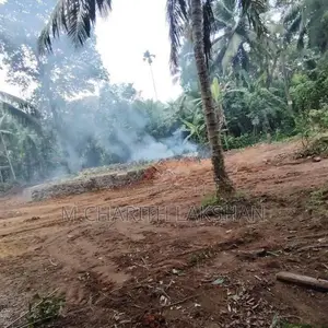 නිරවුල් ඔප්පු සහිත ඉඩමක්. Kaluaggala
