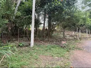අතුරුගිරිය අධිවේගී පිවිසුම අසල පර්චස් 15ක වටිනා ඉඩමක් විකිණීමට!