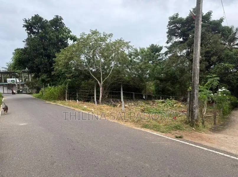 අතුරුගිරිය අධිවේගී පිවිසුම අසල පර්චස් 15ක වටිනා ඉඩමක් විකිණීමට!