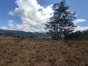 Pussalawa Land for Sale