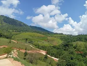 Land for Sale Delthota