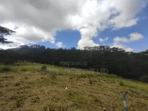 Pussalawa Land for Sale