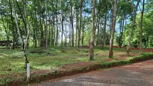 දිවුලපිටිය වල්පිට බිම්කොටස්