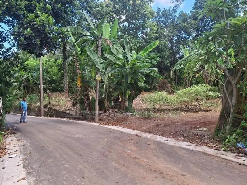 Premium Residential Land for Sale – Polgasowita
