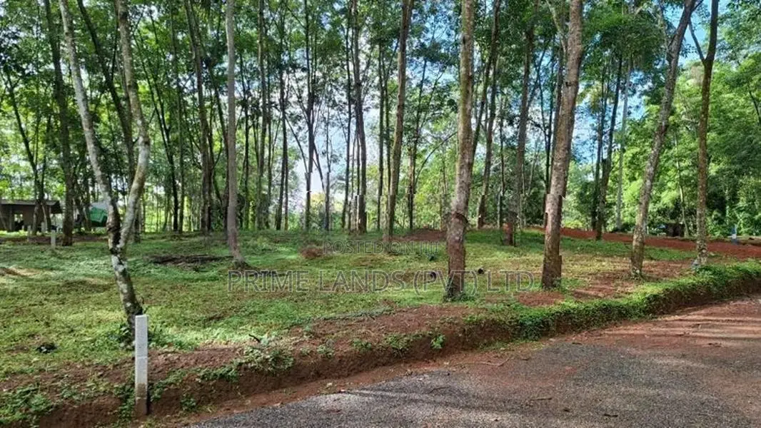 දිවුලපිටිය බිම්කොටස්