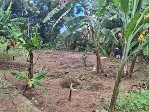 Premium Residential Land for Sale – Polgasowita