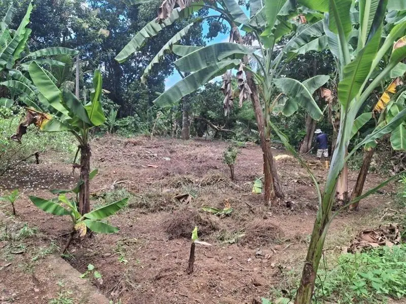 Premium Residential Land for Sale – Polgasowita