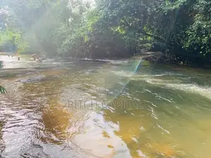 hadapangoda මාවක් ඔයට මුහුණලා විකිණීමට අගනා බිම් කොටස් කිපයක්