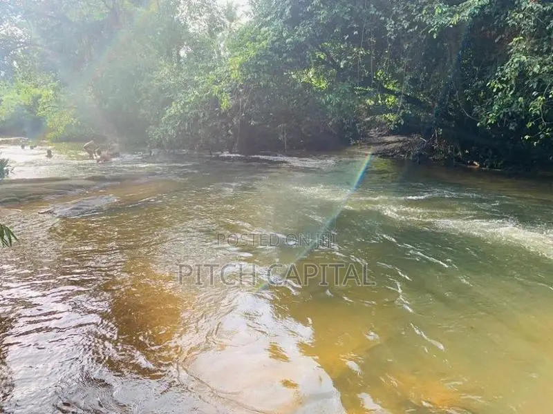 hadapangoda මාවක් ඔයට මුහුණලා විකිණීමට අගනා බිම් කොටස් කිපයක්