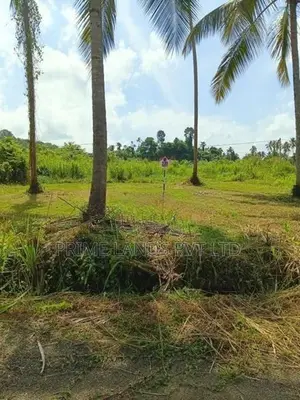 නාරම්මල ඉඩමක් විකිණීමට