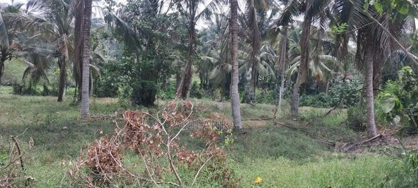 75 Perch Land for Sale Pragathi Mawatha Kahathuduwa