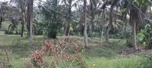 75 Perch Land for Sale Pragathi Mawatha Kahathuduwa