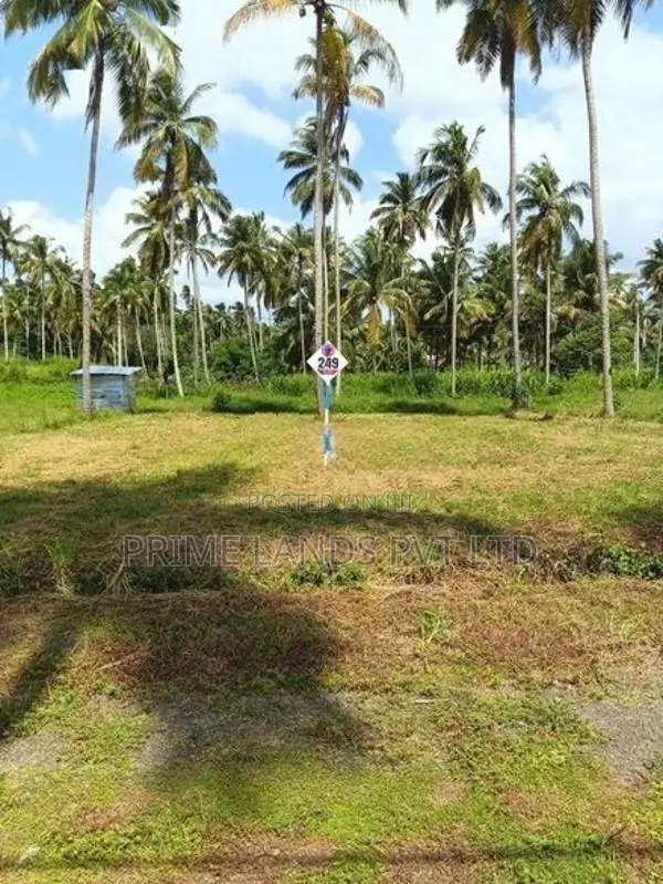 නාරම්මල ඉඩමක් විකිණීමට