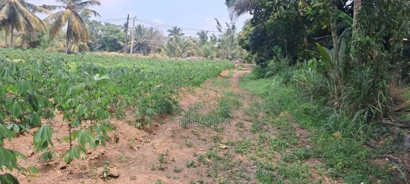 75 Perch Land for Sale Pragathi Mawatha Kahathuduwa