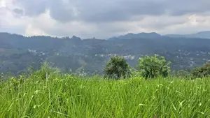 Valuable Land for Sale in Pussellawa Wahurupitiya