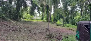 95 Perch Bare Land for Sale Pannipitiya