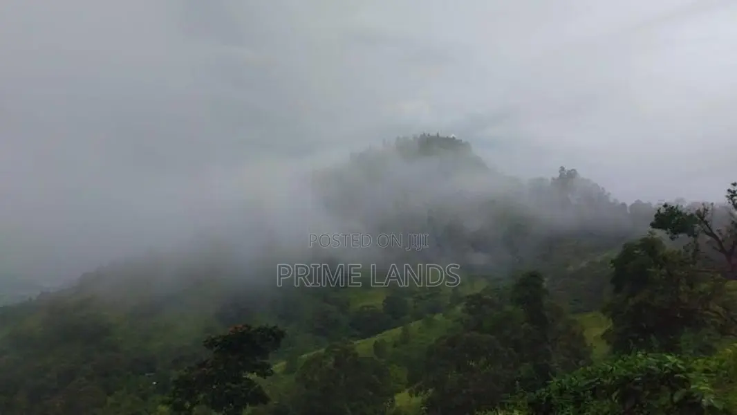 Beautiful Land for Sale in Bandarawela Kontehela
