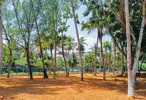 Luxury Tourism Land In Midigama