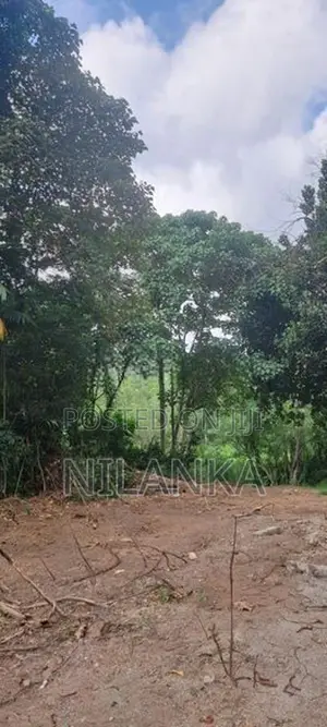 95 Perch Bare Land for Sale Pannipitiya