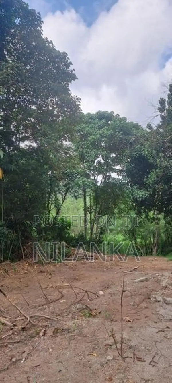 95 Perch Bare Land for Sale Pannipitiya