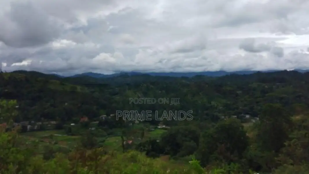 Beautiful Land for Sale in Bandarawela Kontehela