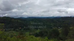 Beautiful Land for Sale in Bandarawela Kontehela