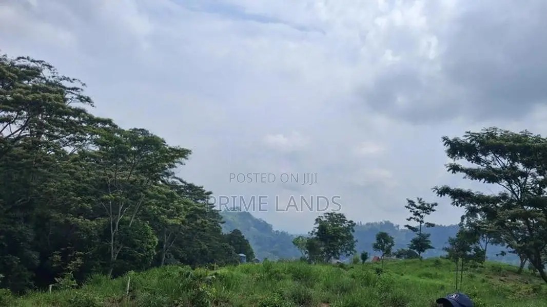 Valuable Land for Sale in Pussellawa Wahurupitiya