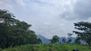 Valuable Land for Sale in Pussellawa Wahurupitiya