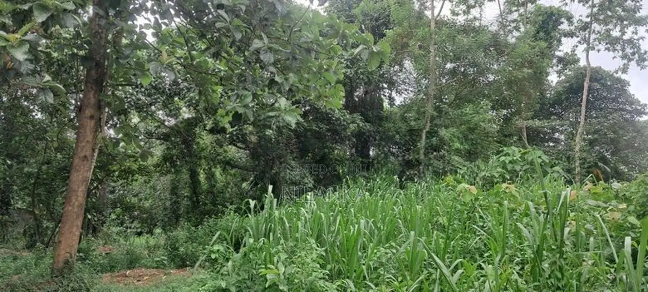 95 Perch Bare Land for Sale Pannipitiya