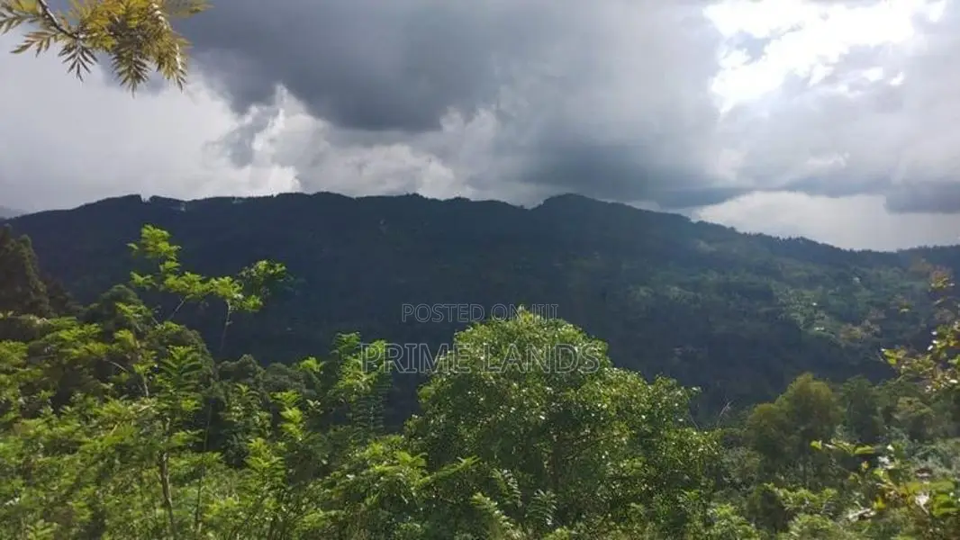 Beautiful Land for Sale in Bandarawela Kontehela