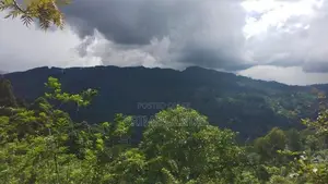 Beautiful Land for Sale in Bandarawela Kontehela