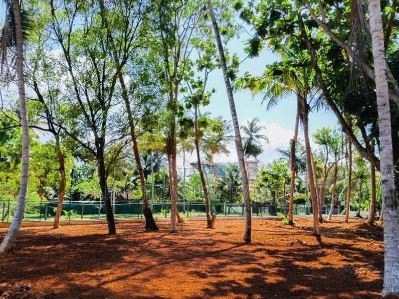 Midigama Beach Side Prime Land For Sale