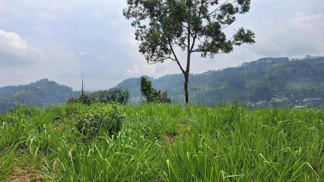 Valuable Land for Sale in Pussellawa Wahurupitiya