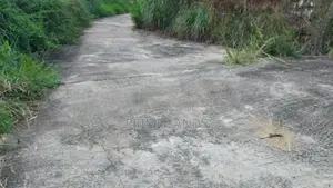 Beautiful Land for Sale in Bandarawela Kontehela