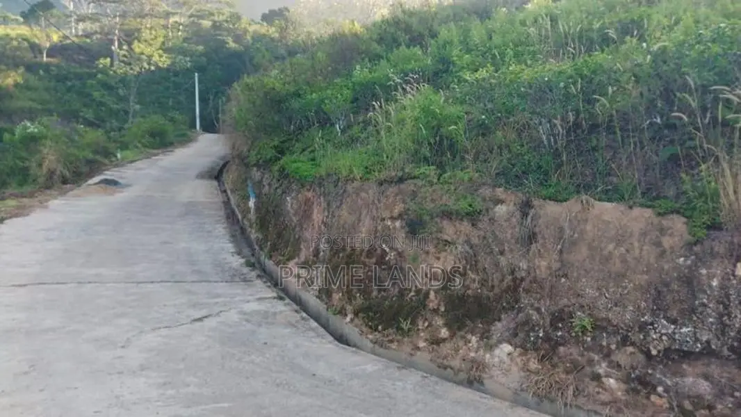 Beautiful Land for Sale in Bandarawela Kontehela